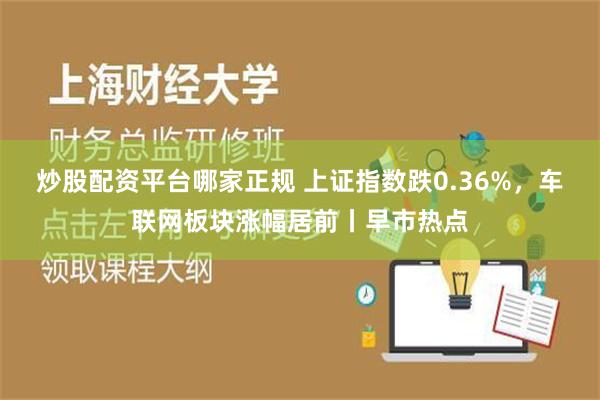 炒股配资平台哪家正规 上证指数跌0.36%，车联网板块涨幅居前丨早市热点