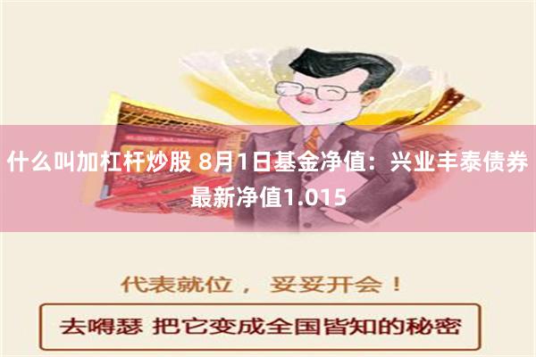 什么叫加杠杆炒股 8月1日基金净值：兴业丰泰债券最新净值1.015