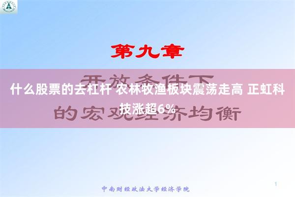 什么股票的去杠杆 农林牧渔板块震荡走高 正虹科技涨超6%