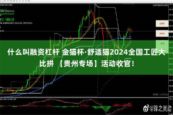 什么叫融资杠杆 金猫杯·舒适猫2024全国工匠大比拼 【贵州专场】活动收官！