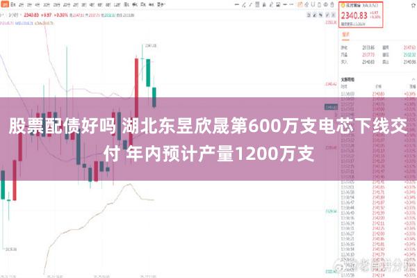 股票配债好吗 湖北东昱欣晟第600万支电芯下线交付 年内预计产量1200万支