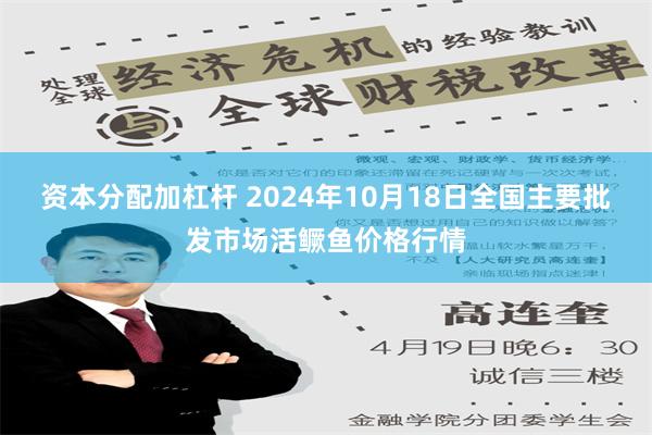 资本分配加杠杆 2024年10月18日全国主要批发市场活鳜鱼价格行情