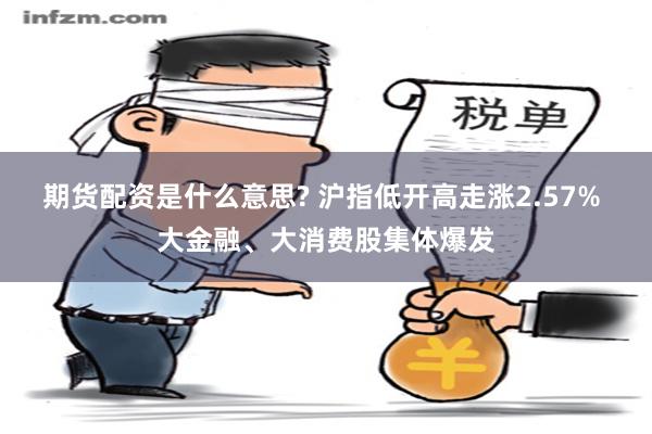 期货配资是什么意思? 沪指低开高走涨2.57% 大金融、大消费股集体爆发