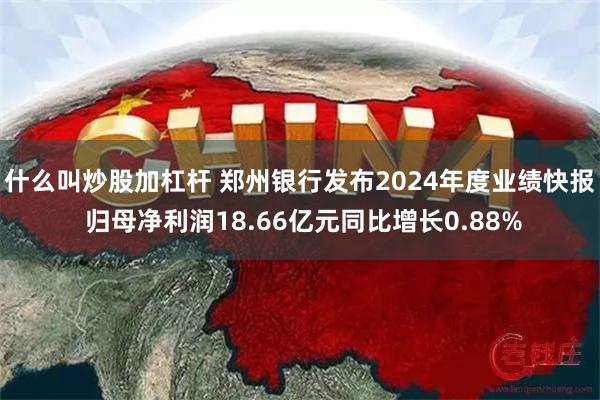 什么叫炒股加杠杆 郑州银行发布2024年度业绩快报 归母净利润18.66亿元同比增长0.88%